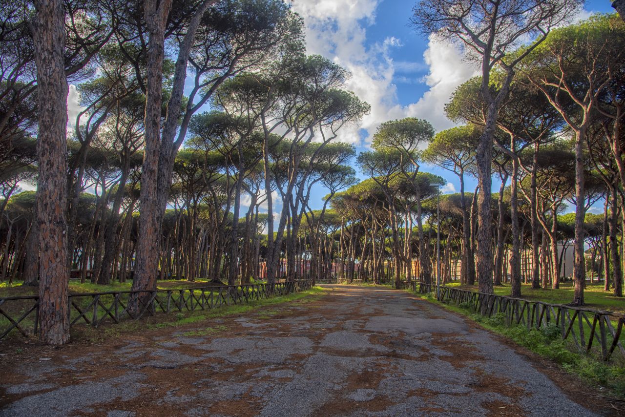 Viale Ernesto Orrei, la strada che non si arrende